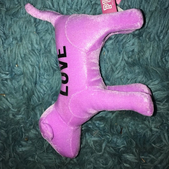 PINK Victoria's Secret Accessories - Vs PINK dog